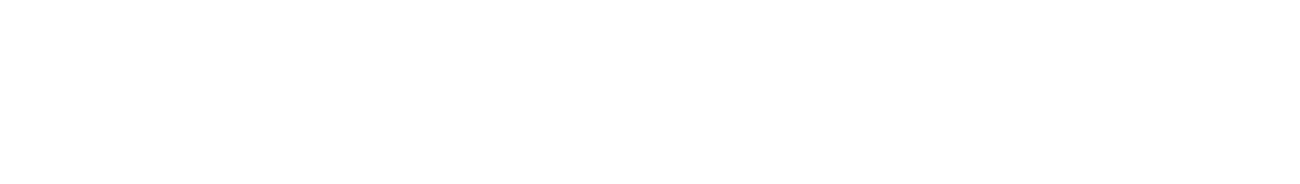 logo light